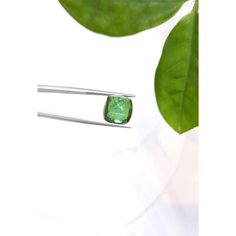 11.02 Ct. Cabochon Tourmaline from Mozambique