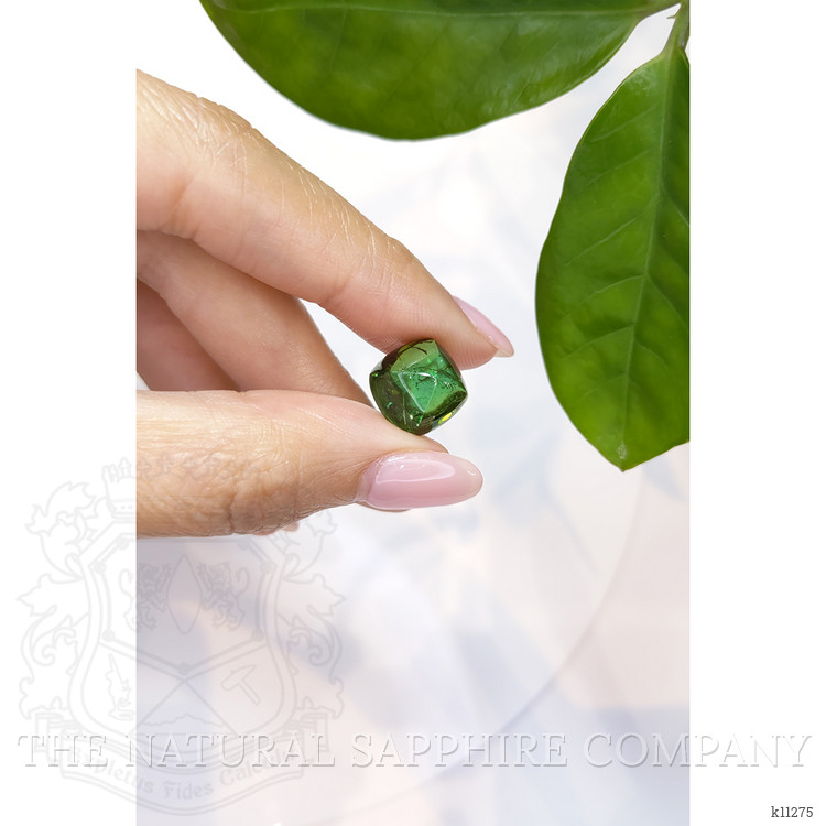 11.02 Ct. Cabochon Tourmaline from Mozambique