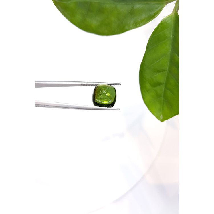 10.40 Ct. Cabochon Tourmaline from Mozambique