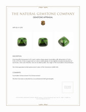 4.92 Ct. Tourmaline from Mozambique Appraisal