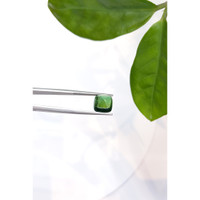 4.92 Ct. Cabochon Tourmaline from Mozambique Life Style