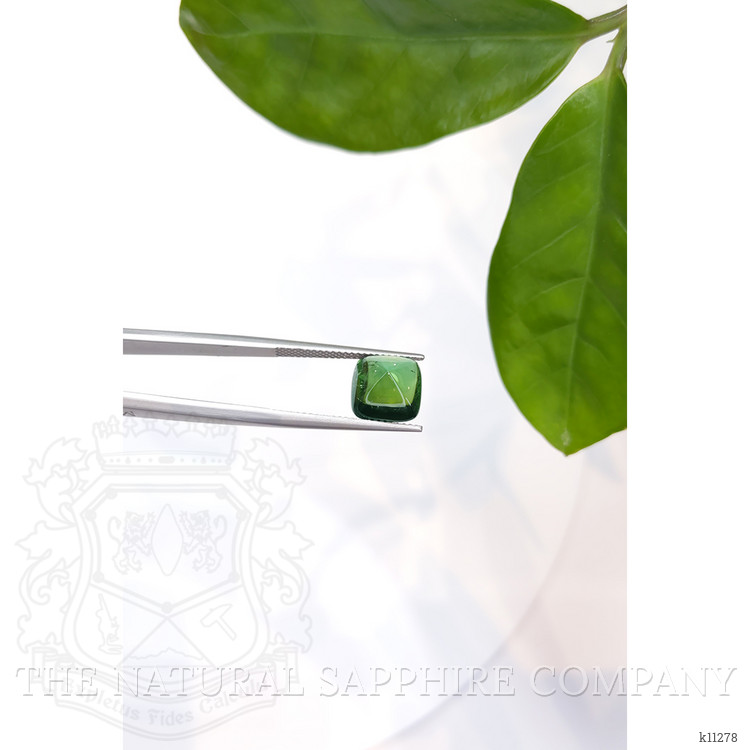 4.92 Ct. Cabochon Tourmaline from Mozambique