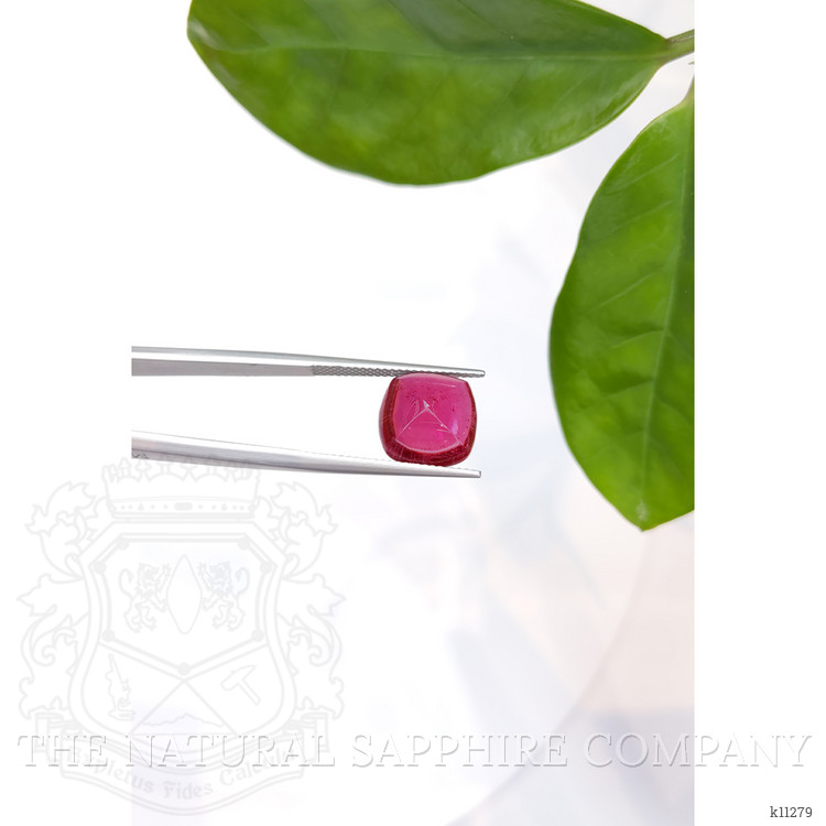 6.62 Ct. Cabochon Tourmaline from Mozambique