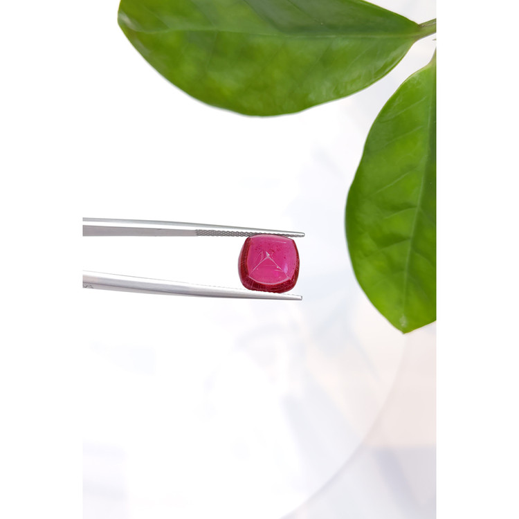 6.62 Ct. Cabochon Tourmaline from Mozambique