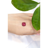 6.62 Ct. Cabochon Tourmaline from Mozambique Life Style