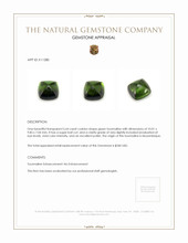 5.64 Ct. Tourmaline from Mozambique Appraisal