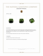 5.64 Ct. Cabochon Tourmaline from Mozambique Appraisal