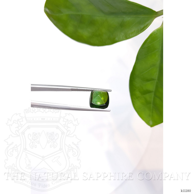 5.64 Ct. Cabochon Tourmaline from Mozambique