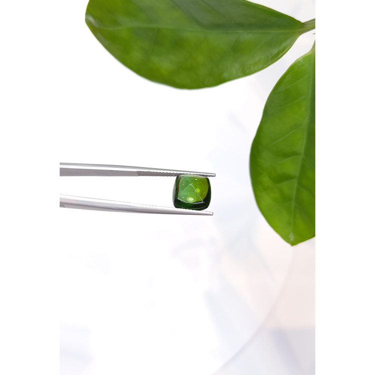 5.64 Ct. Cabochon Tourmaline from Mozambique