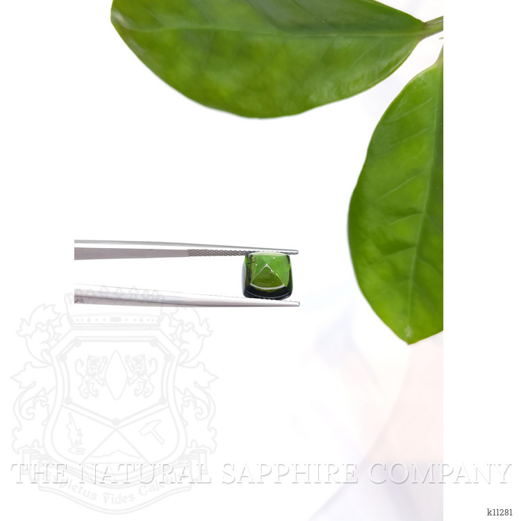 5.37 Ct. Cabochon Tourmaline from Mozambique