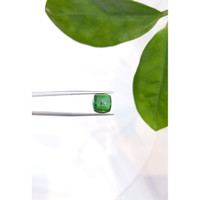 5.77 Ct. Cabochon Tourmaline from Mozambique Life Style