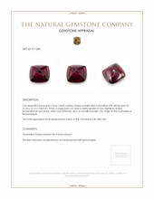 10.66 Ct. Cabochon Tourmaline from Mozambique Appraisal