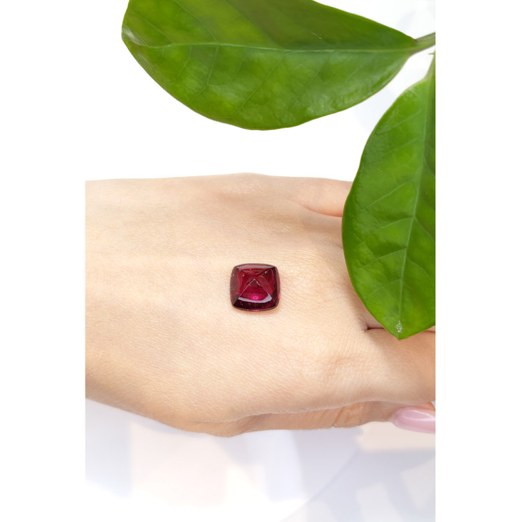 10.66 Ct. Cabochon Tourmaline from Mozambique