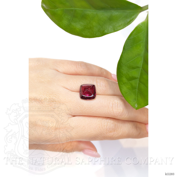 10.66 Ct. Cabochon Tourmaline from Mozambique