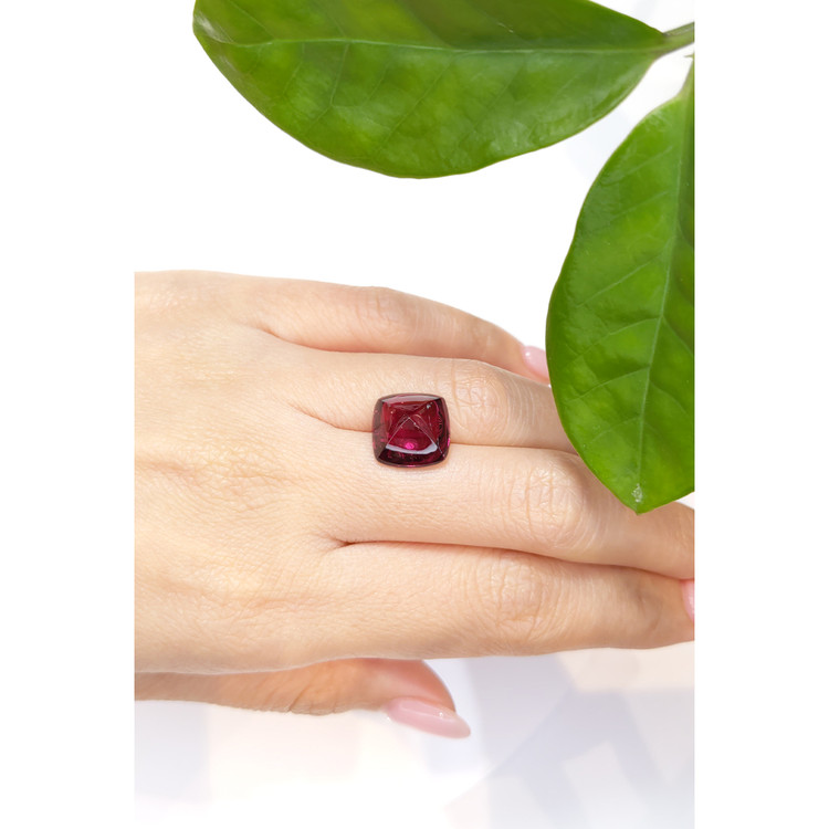 10.66 Ct. Cabochon Tourmaline from Mozambique