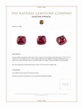 6.58 Ct. Tourmaline from Mozambique Appraisal