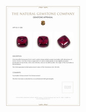 8.63 Ct. Tourmaline from Mozambique Appraisal