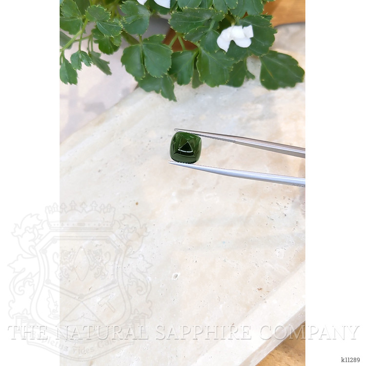 7.04 Ct. Cabochon Tourmaline from Mozambique