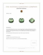 3.94 Ct. Cabochon Tourmaline from Mozambique Appraisal