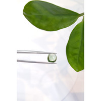 3.94 Ct. Cabochon Tourmaline from Mozambique Life Style