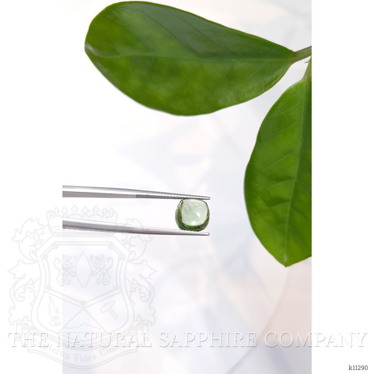 3.94 Ct. Cabochon Tourmaline from Mozambique