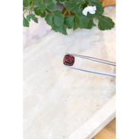 6.60 Ct. Cabochon Tourmaline from Mozambique Life Style