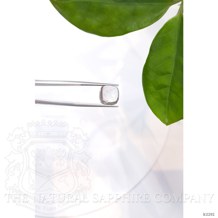 6.23 Ct. Cabochon Tourmaline from Mozambique