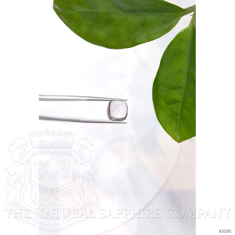 6.23 Ct. Cabochon Tourmaline from Mozambique