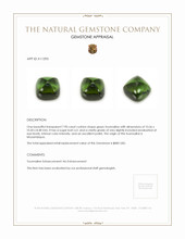 7.90 Ct. Cabochon Tourmaline from Mozambique Appraisal