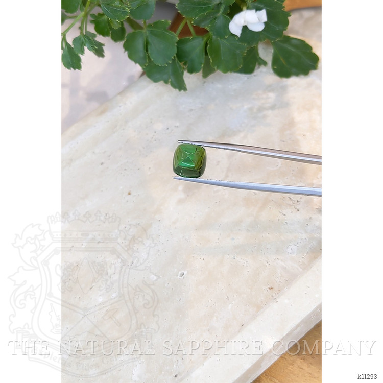 7.90 Ct. Cabochon Tourmaline from Mozambique