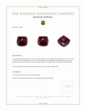 8.58 Ct. Cabochon Tourmaline from Mozambique Appraisal