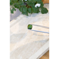 6.32 Ct. Cabochon Tourmaline from Mozambique Life Style