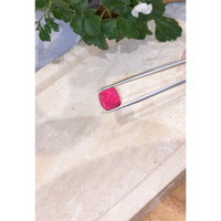 10.64 Ct. Cabochon Tourmaline from Mozambique Life Style