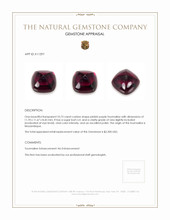 10.73 Ct. Tourmaline from Mozambique Appraisal