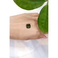 5.38 Ct. Cabochon Tourmaline from Mozambique Life Style