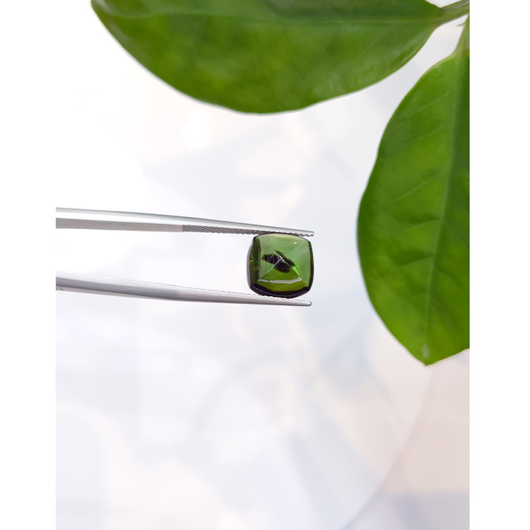 5.38 Ct. Cabochon Tourmaline from Mozambique