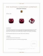 4.79 Ct. Cabochon Tourmaline from Mozambique Appraisal