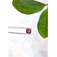 4.79 Ct. Cabochon Tourmaline from Mozambique Life Style