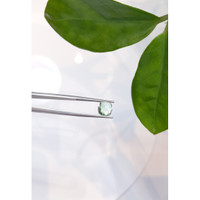 3.19 Ct. Cabochon Tourmaline from Mozambique Life Style