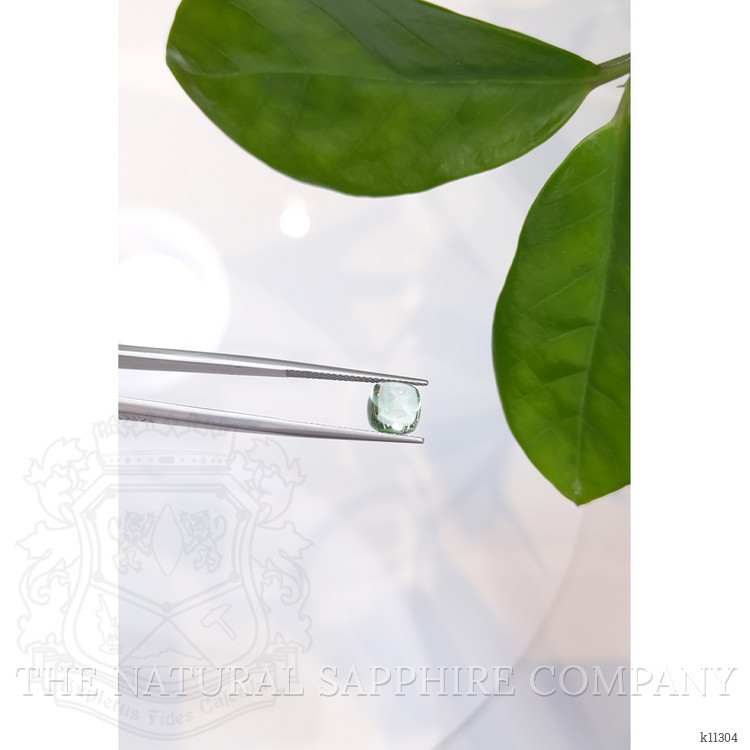 3.19 Ct. Cabochon Tourmaline from Mozambique