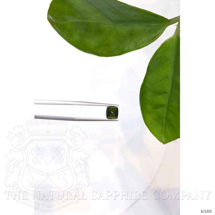 1.94 Ct. Cabochon Tourmaline from Mozambique