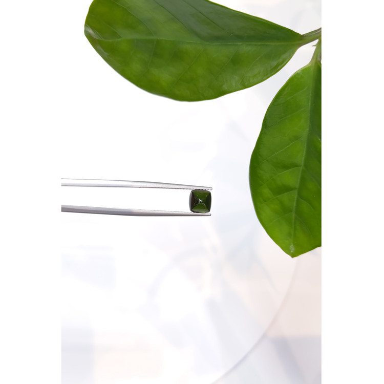 1.94 Ct. Cabochon Tourmaline from Mozambique