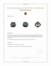 3.65 Ct. Cabochon Tourmaline from Mozambique Appraisal