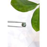 3.65 Ct. Cabochon Tourmaline from Mozambique Life Style