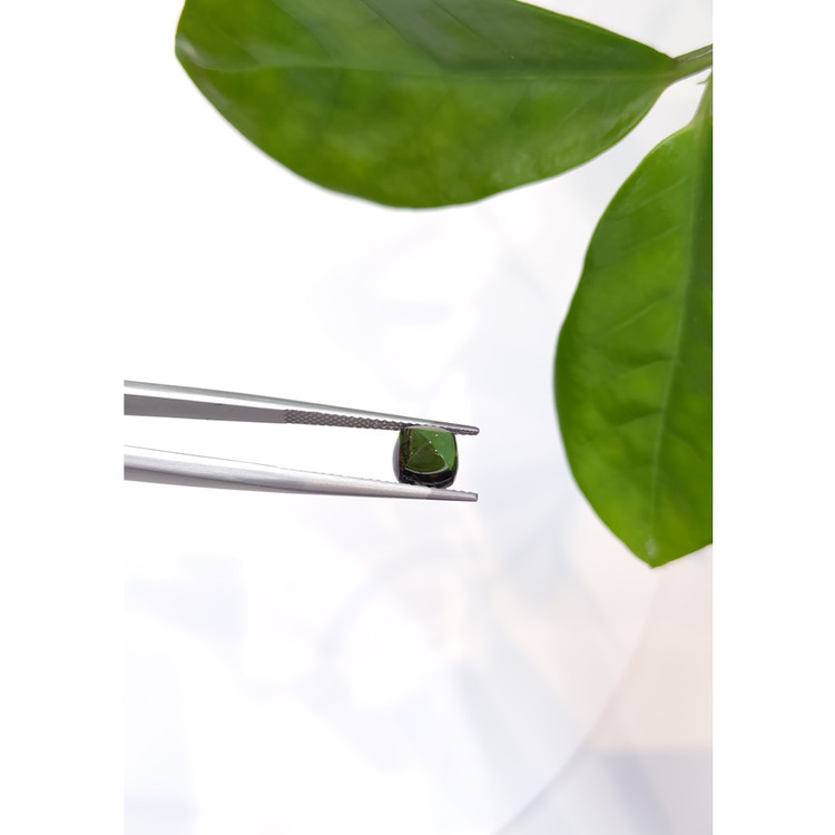 2.26 Ct. Cabochon Tourmaline from Mozambique