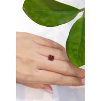 3.52 Ct. Cabochon Tourmaline from Mozambique Life Style
