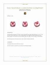 2.78 Ct. Cabochon Tourmaline from Mozambique Appraisal