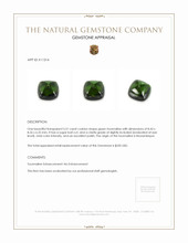 3.51 Ct. Cabochon Tourmaline from Mozambique Appraisal