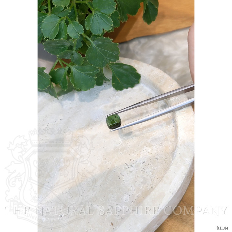 3.51 Ct. Cabochon Tourmaline from Mozambique