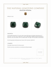 4.70 Ct. Tourmaline from Mozambique Appraisal